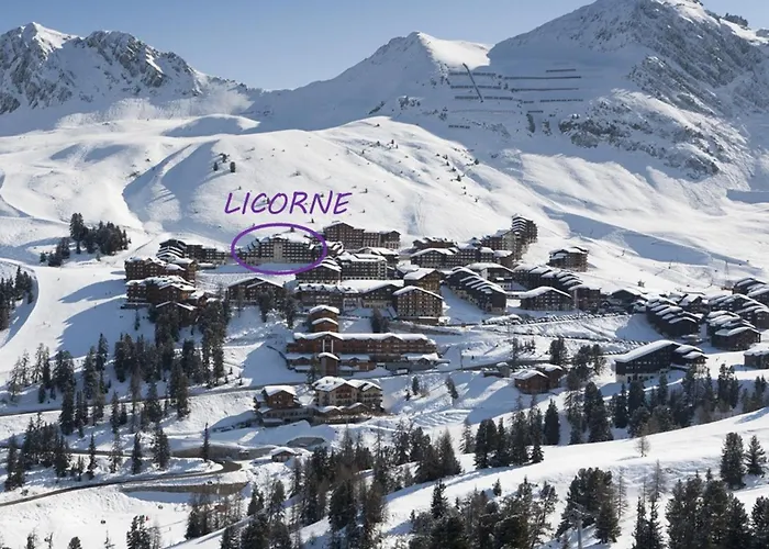 6 Pers, Terrasse Sud-ouest Au Rez-de-pistes - Fr-1-455-110 La Plagne